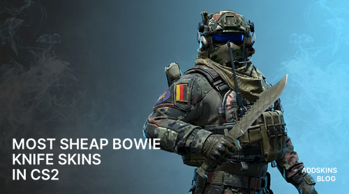 Most sheap ★ Bowie Knife skins in CS2