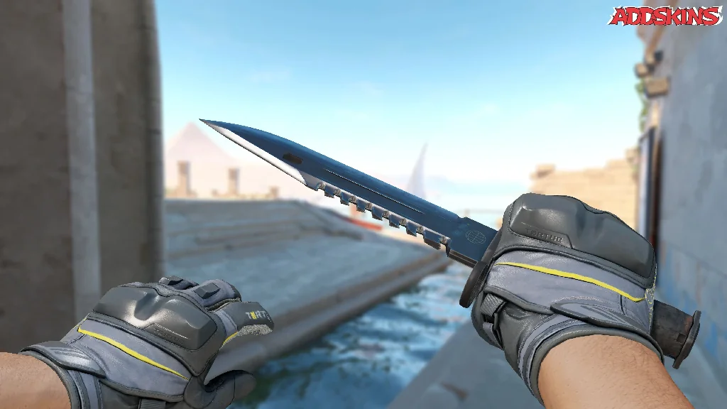 ★ M9 Bayonet | Vanilla holding
