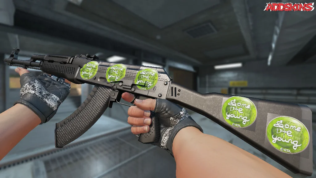 Sticker | sdy | Katowice 2019 inspecting