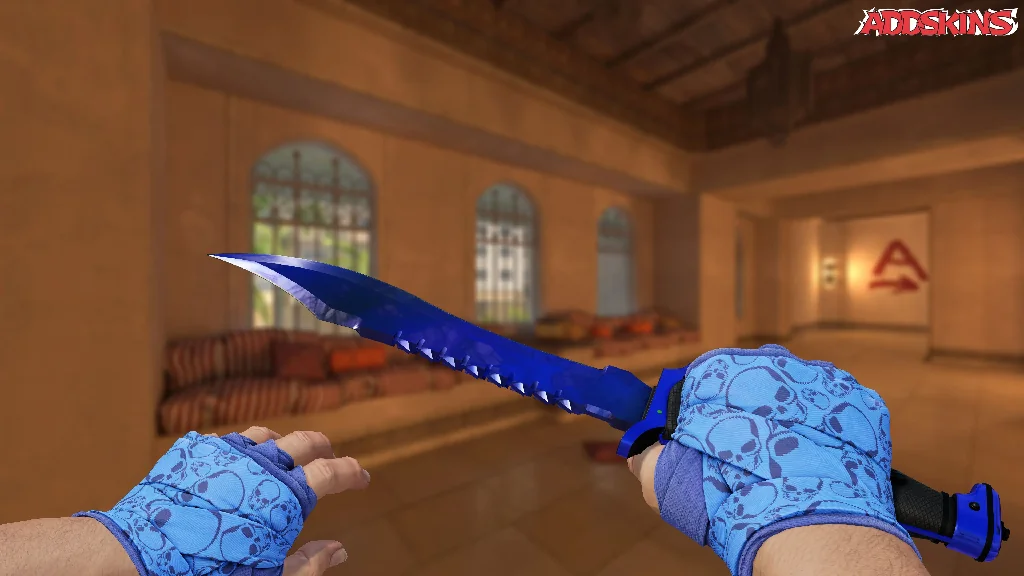 ★ Bowie Knife | Doppler Phase 4 holding
