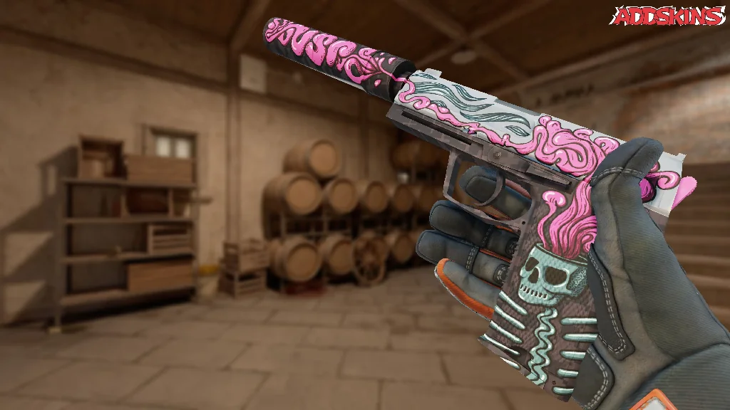 USP-S | Cortex inspecting