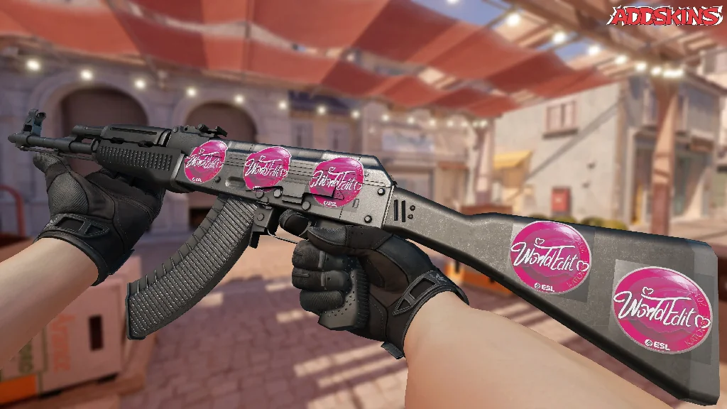 Sticker | WorldEdit | Katowice 2019 inspecting
