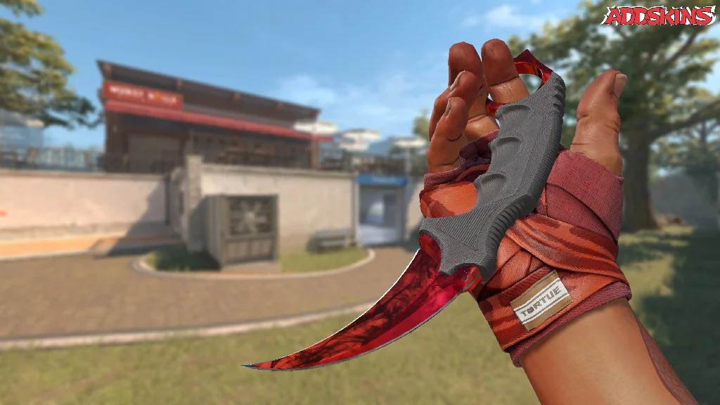 ★ Karambit | Doppler Ruby inspecting