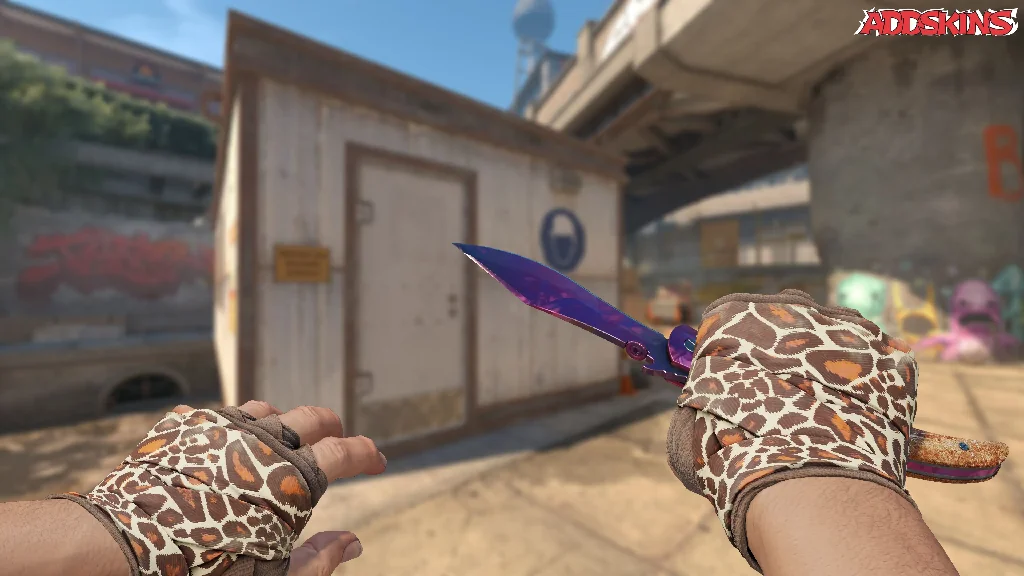 ★ Navaja Knife | Doppler Phase 2 holding
