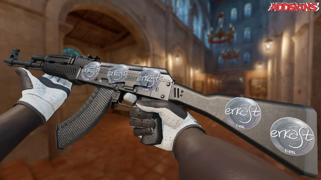 Sticker | erkaSt | Katowice 2019 inspecting