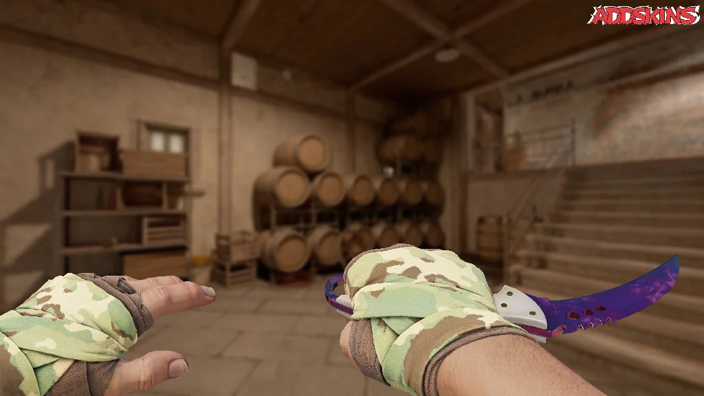 ★ Talon Knife | Doppler Phase 2 holding