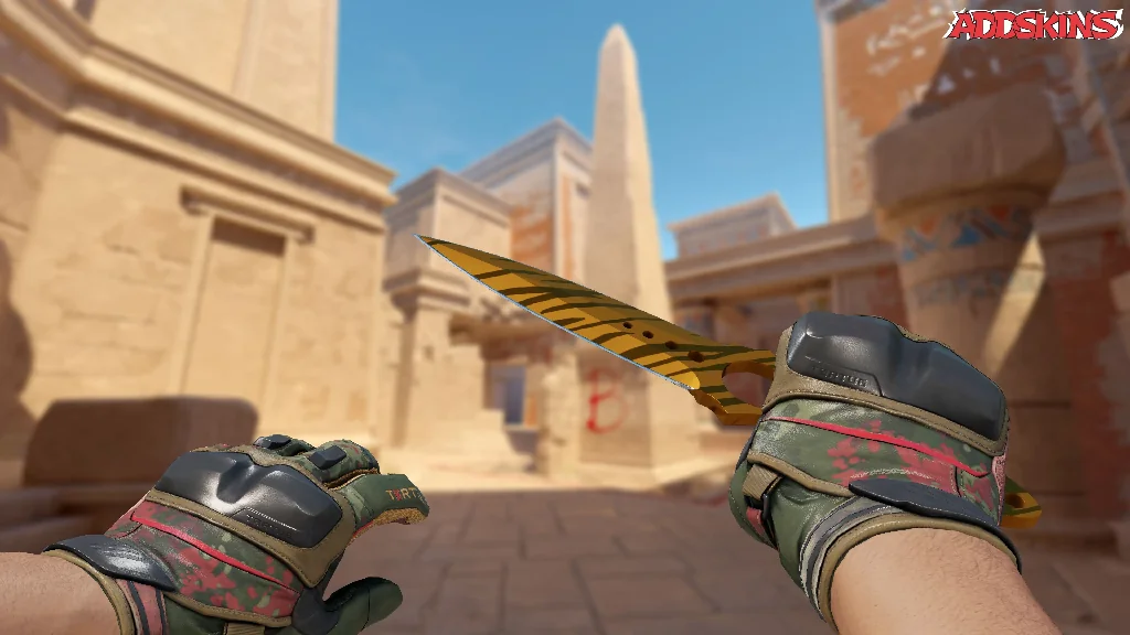 ★ Skeleton Knife | Tiger Tooth holding