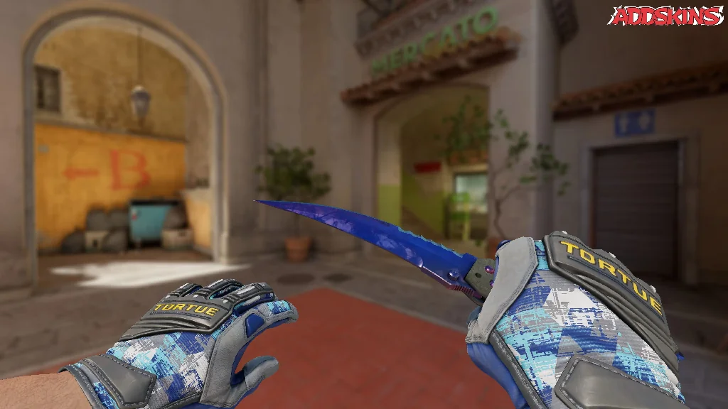 ★ Flip Knife | Doppler Phase 1 holding
