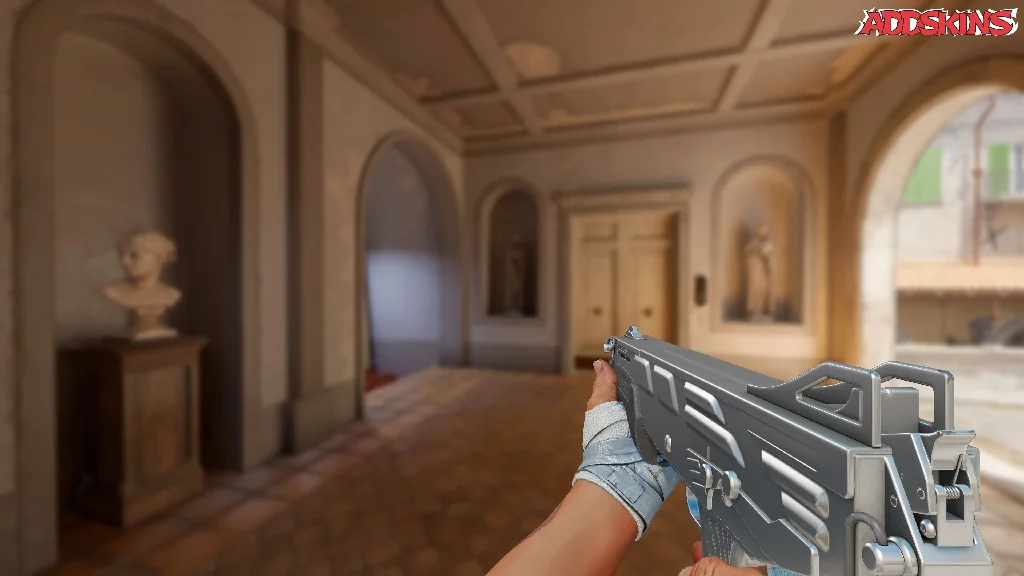 MAG-7 | Silver holding