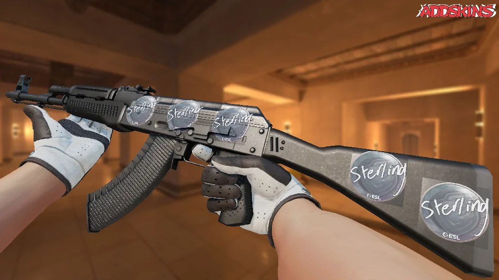 Sticker | sterling | Katowice 2019 inspecting
