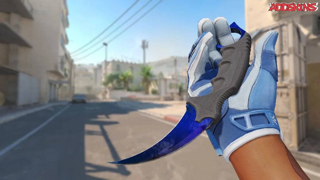 ★ Karambit | Doppler Phase 3 inspecting