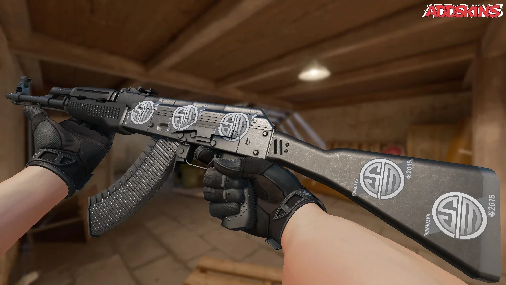Sticker | TSM Kinguin | Katowice 2015 inspecting