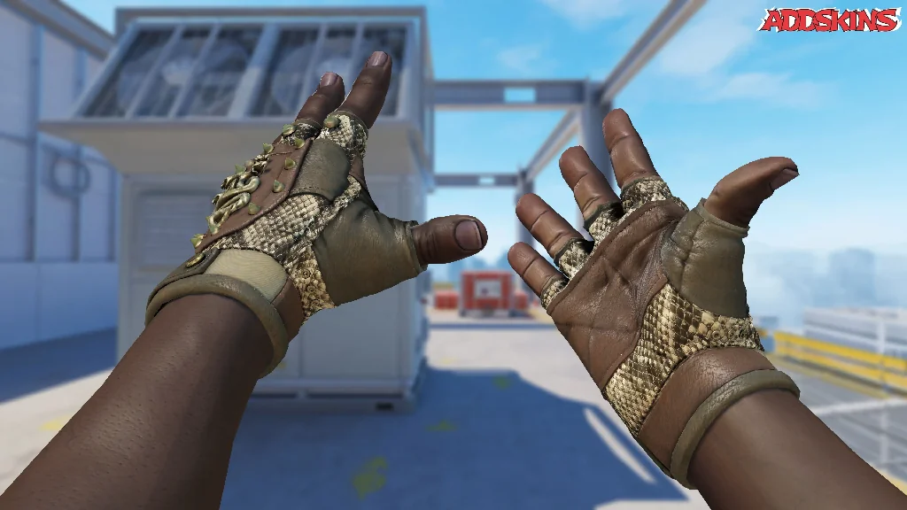 ★ Hydra Gloves | Rattler inspecting