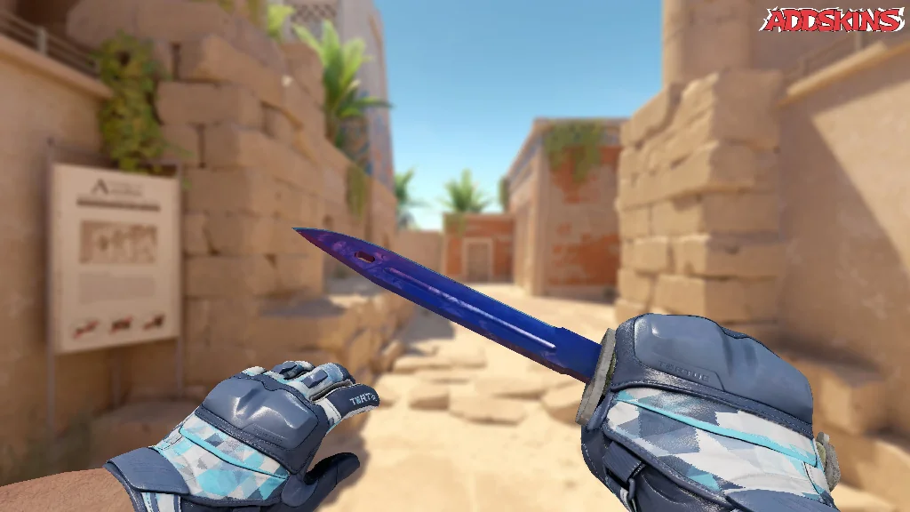 ★ Bayonet | Doppler Phase 1 holding