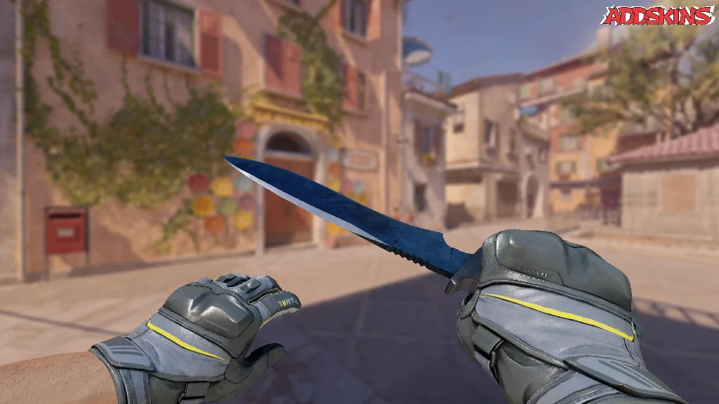 ★ Classic Knife | Blue Steel holding