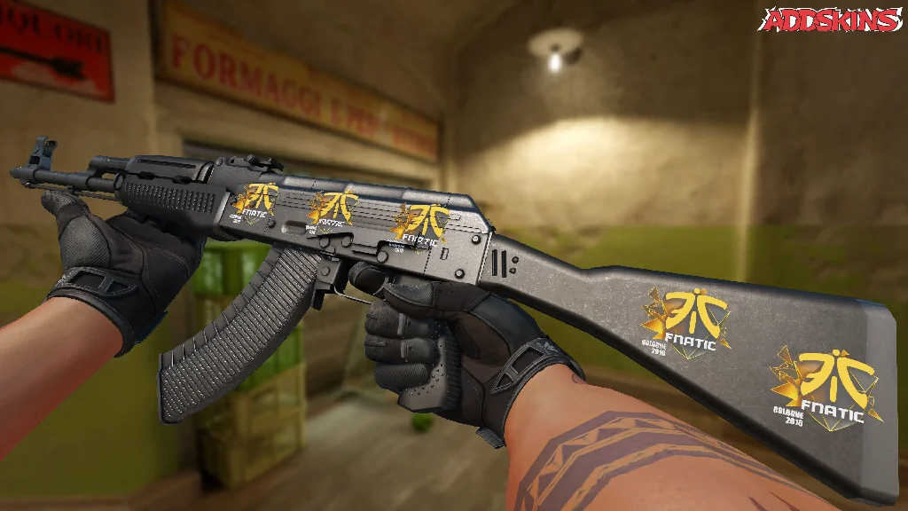 Sticker | Fnatic | Cologne 2016 inspecting