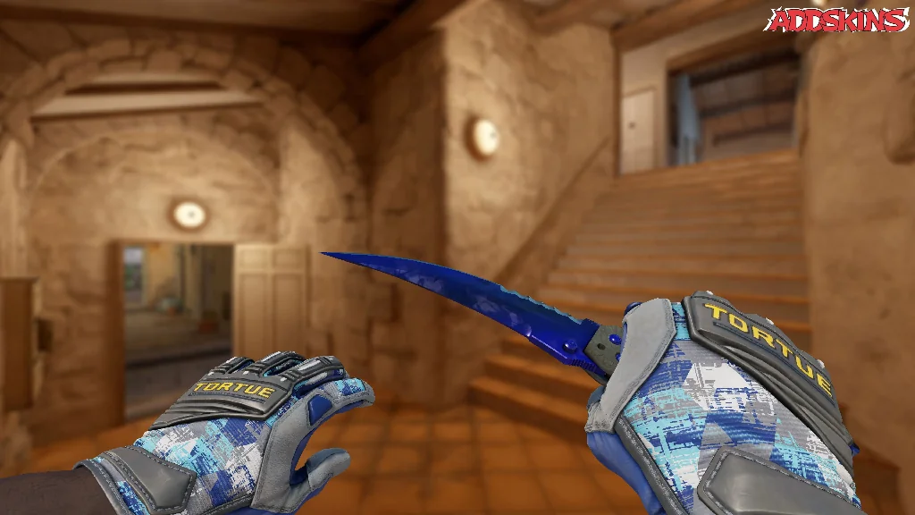 ★ Flip Knife | Doppler Phase 4 holding