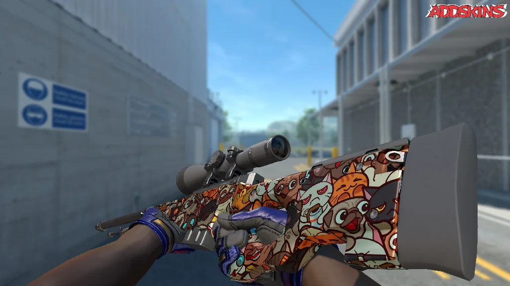AWP | PAW inspecting