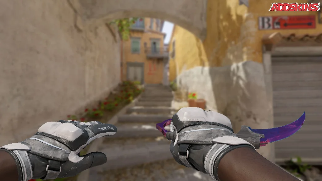 ★ Karambit | Doppler Phase 2 holding