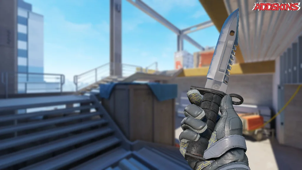 ★ M9 Bayonet | Vanilla inspecting