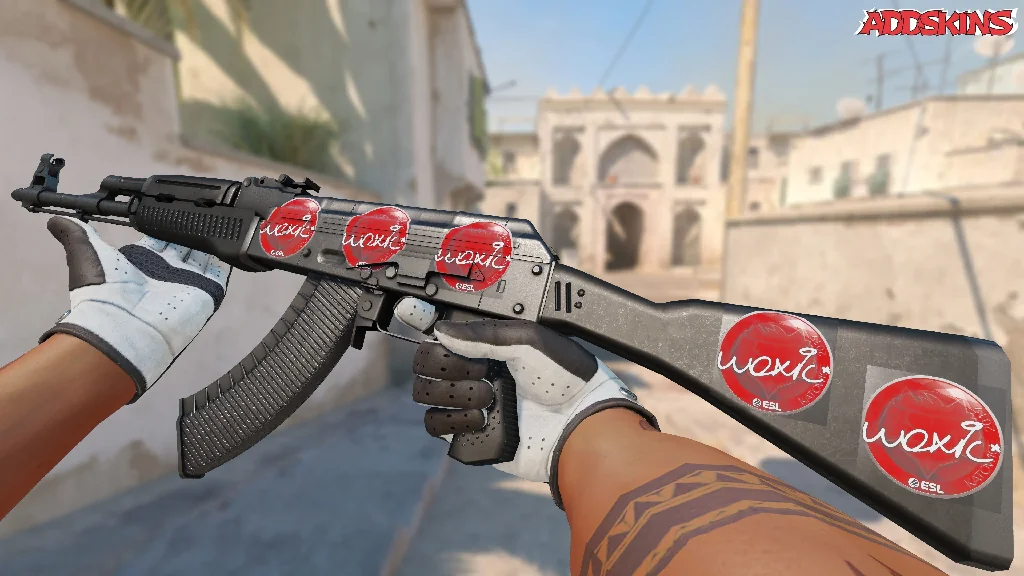 Sticker | woxic | Katowice 2019 inspecting