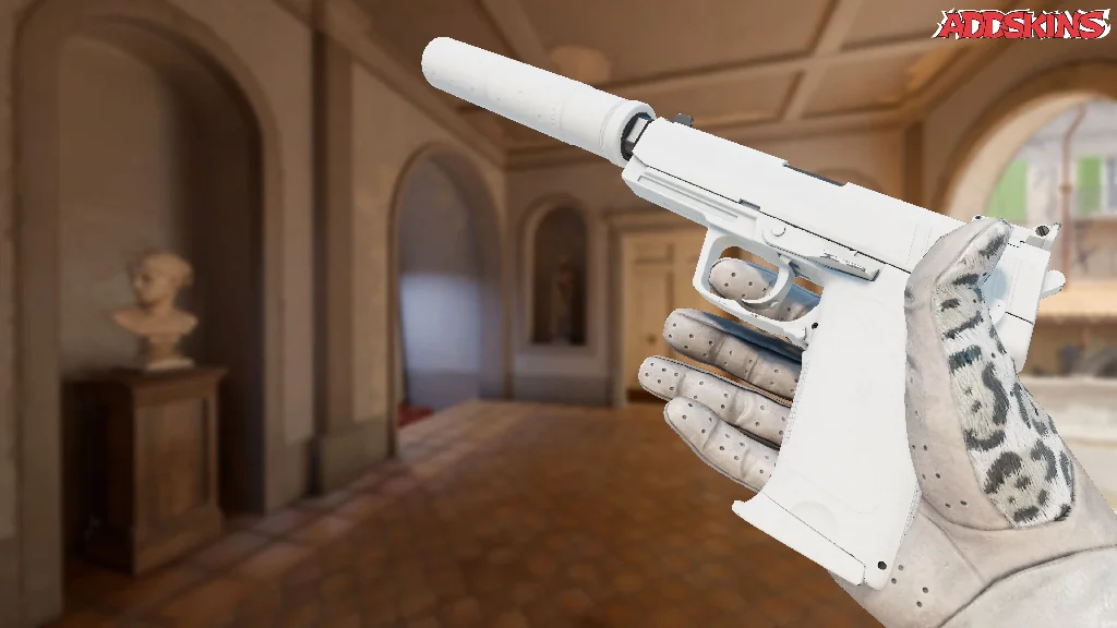 USP-S | Whiteout inspecting