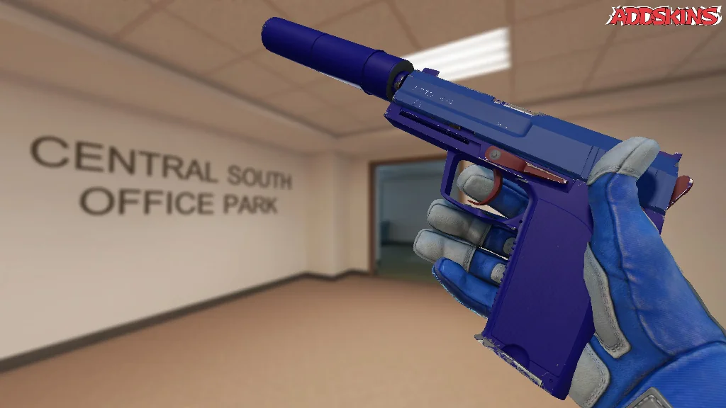 USP-S | Royal Blue inspecting