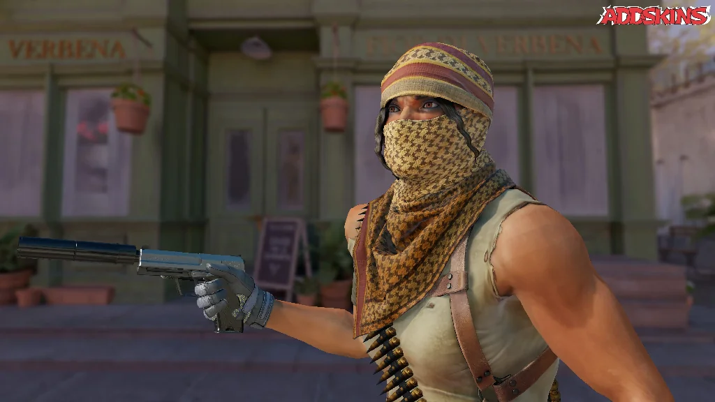 USP-S | Stainless pose-3