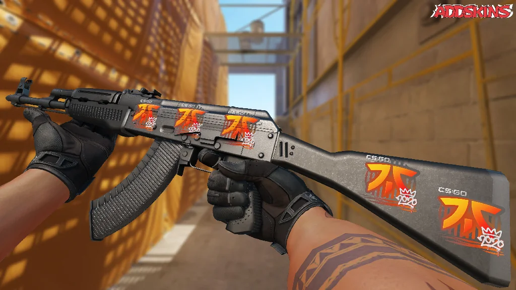 Sticker | Fnatic | 2020 RMR inspecting