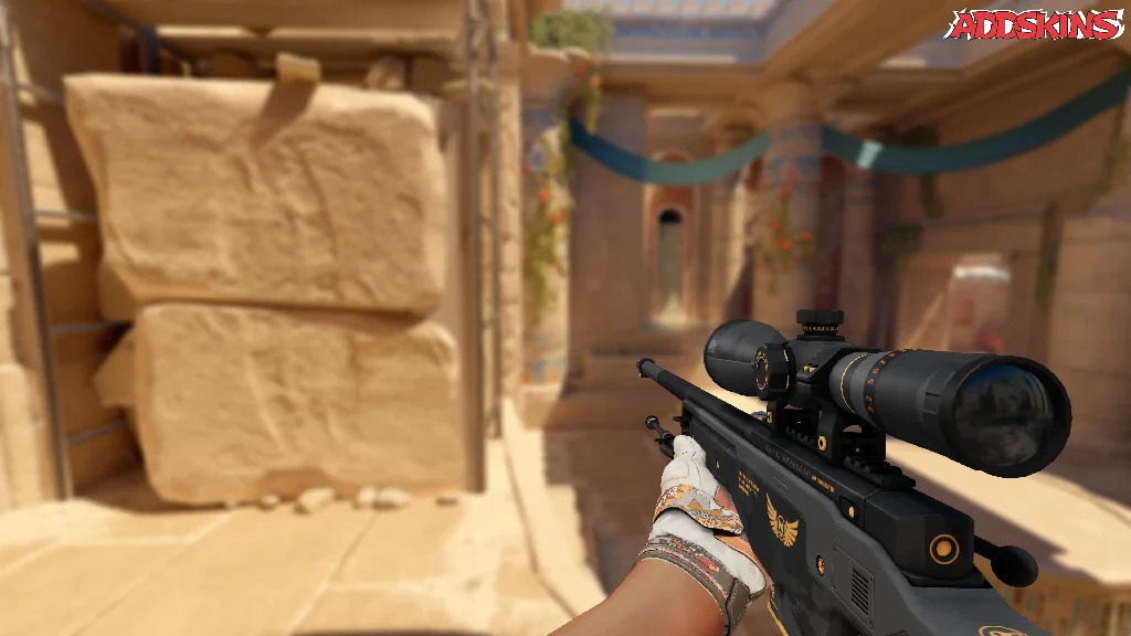 AWP | Elite Build holding