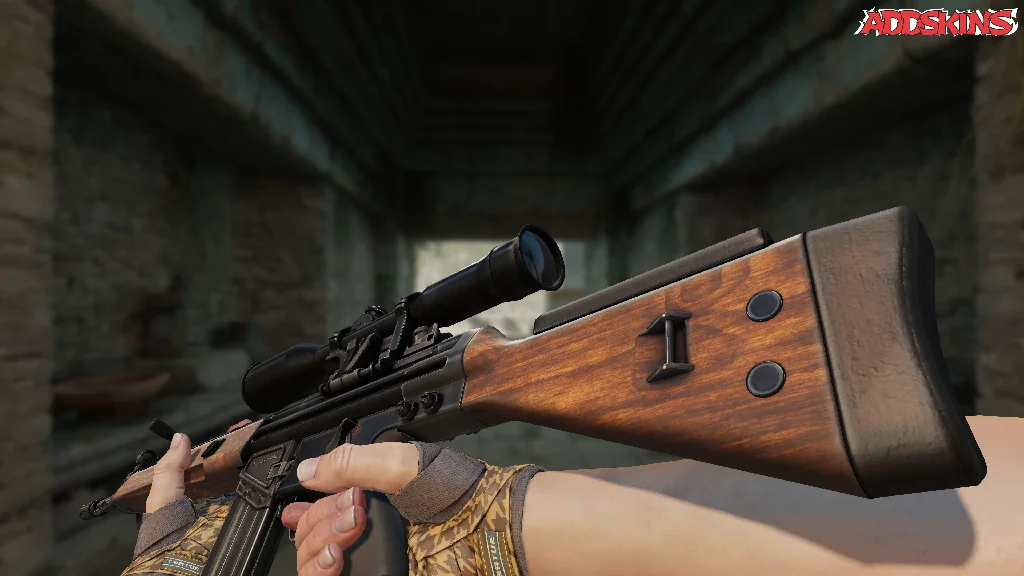 G3SG1 | Hunter inspecting