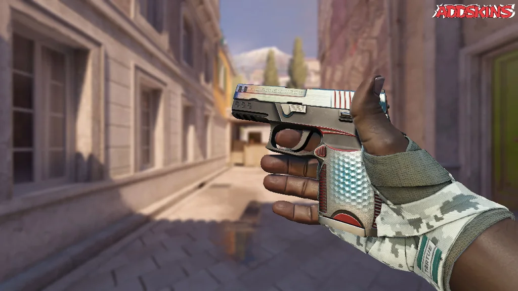 P250 | Cyber Shell inspecting