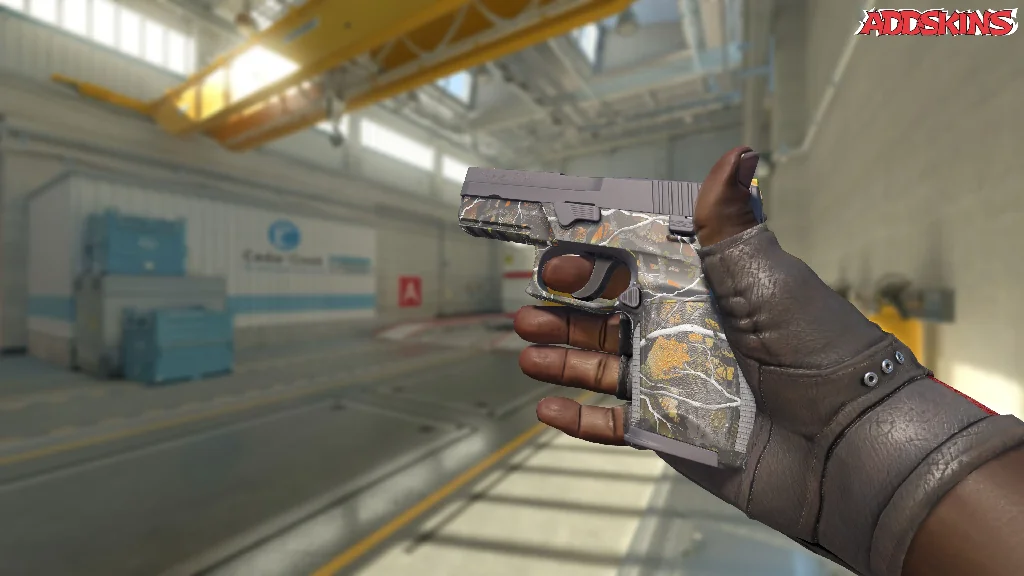 P250 | Small Game inspecting