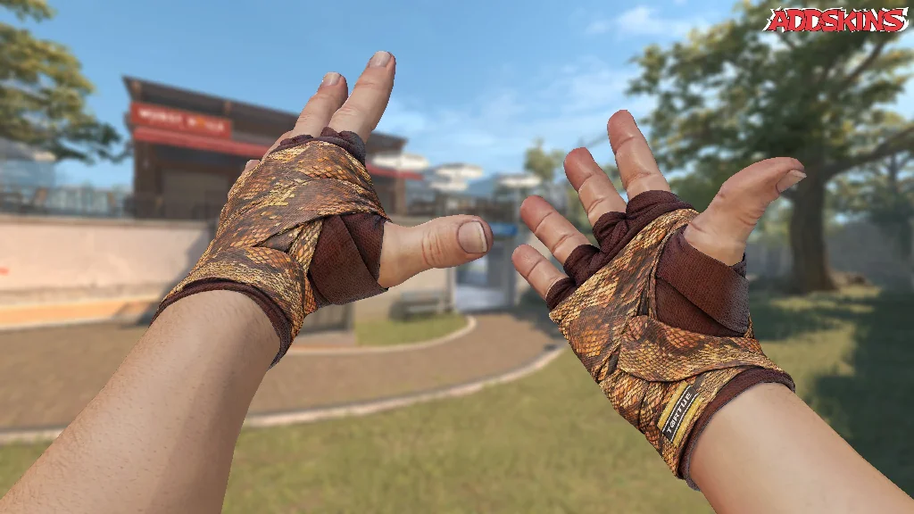 ★ Hand Wraps | Constrictor inspecting