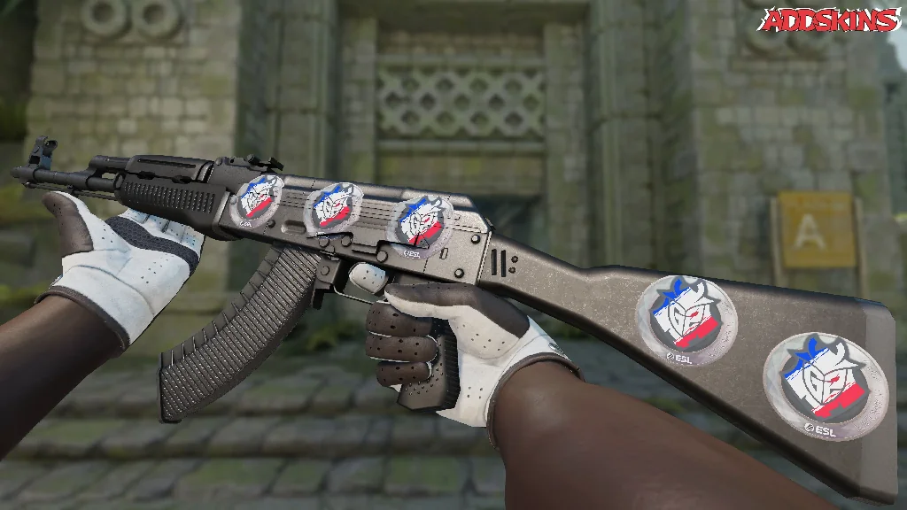 Sticker | G2 Esports | Katowice 2019 inspecting