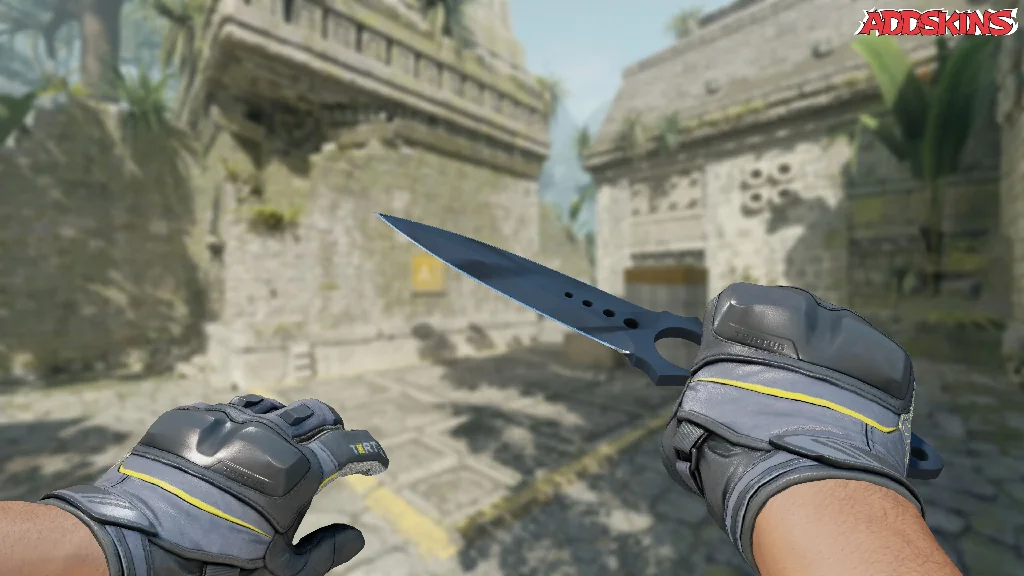 ★ Skeleton Knife | Night Stripe holding