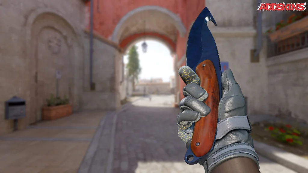 ★ Gut Knife | Blue Steel inspecting
