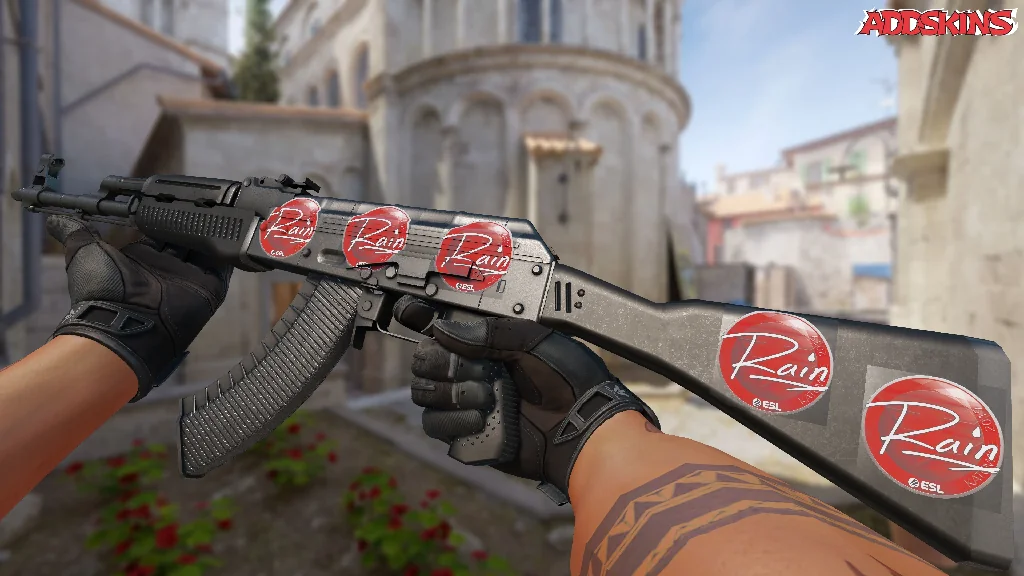 Sticker | rain | Katowice 2019 inspecting