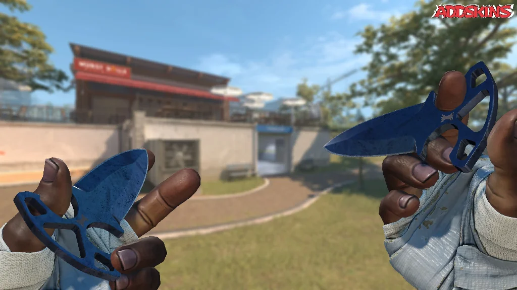 ★ Shadow Daggers | Blue Steel inspecting