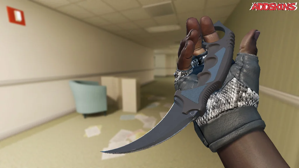 ★ Karambit | Night inspecting