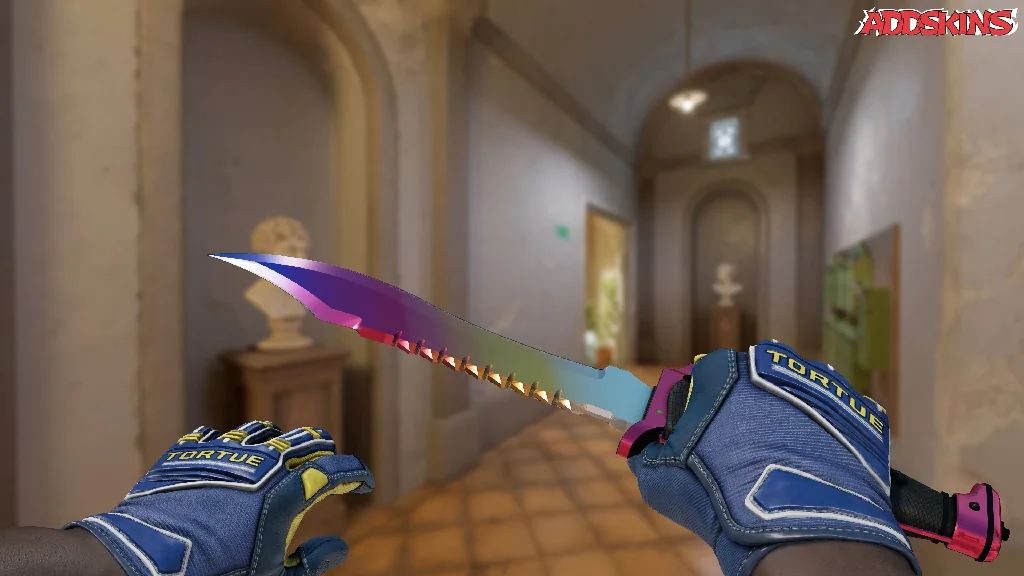 ★ Bowie Knife | Fade holding