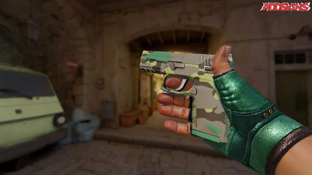 P250 | Boreal Forest inspecting