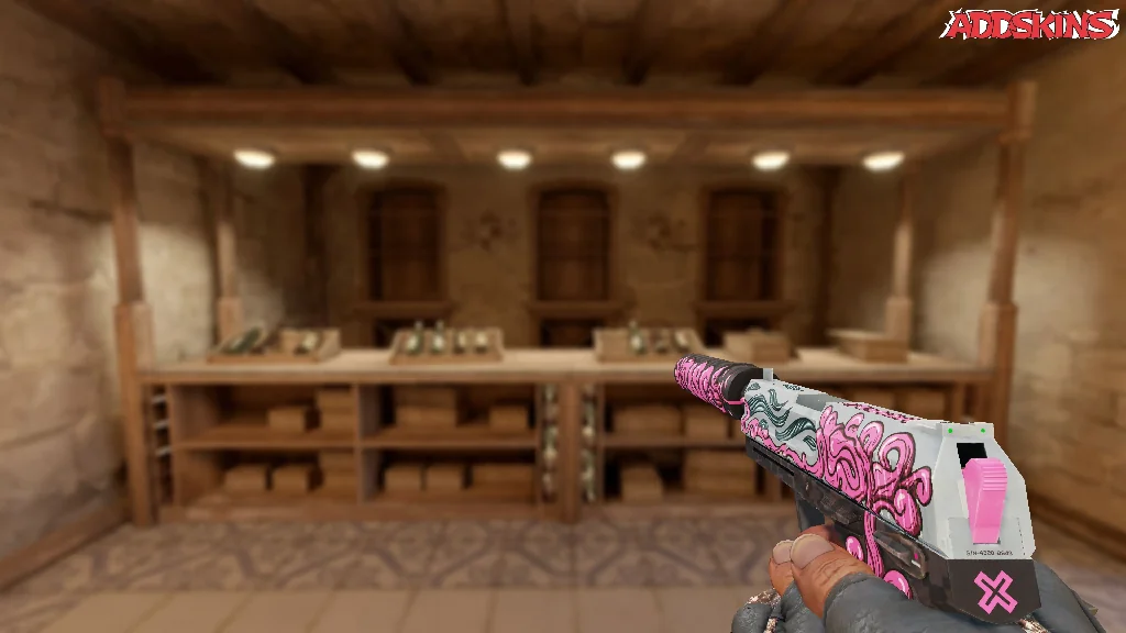 USP-S | Cortex holding