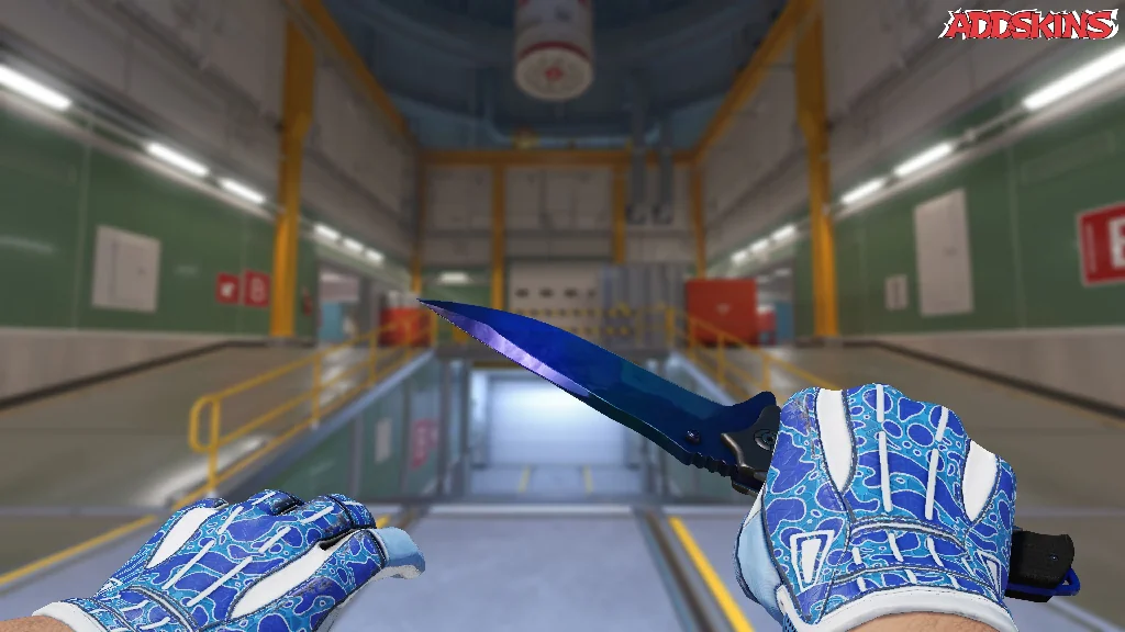 ★ Nomad Knife | Doppler Phase 3 holding