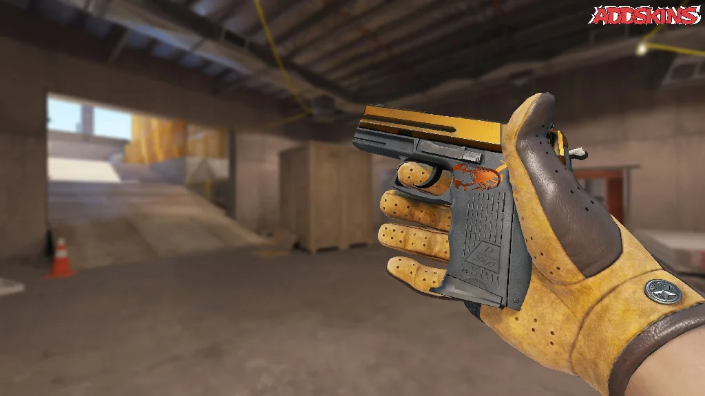 P2000 | Scorpion inspecting