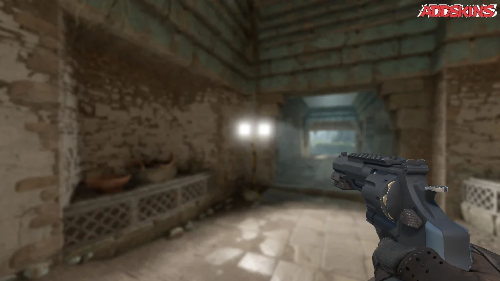 R8 Revolver | Night holding