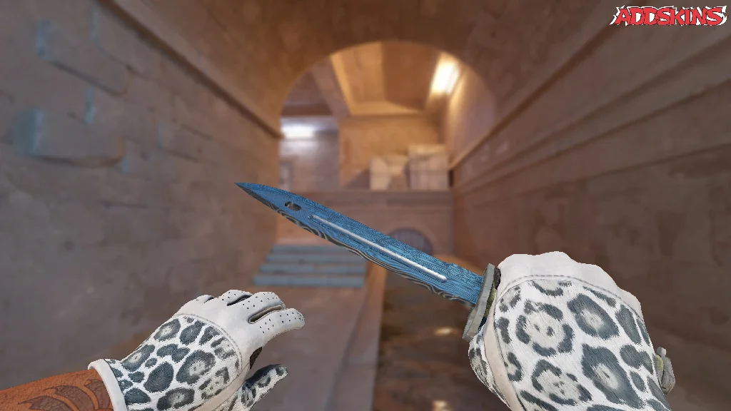 ★ Bayonet | Damascus Steel holding