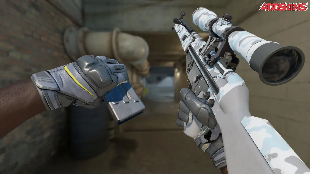 G3SG1 | Arctic Camo reloading