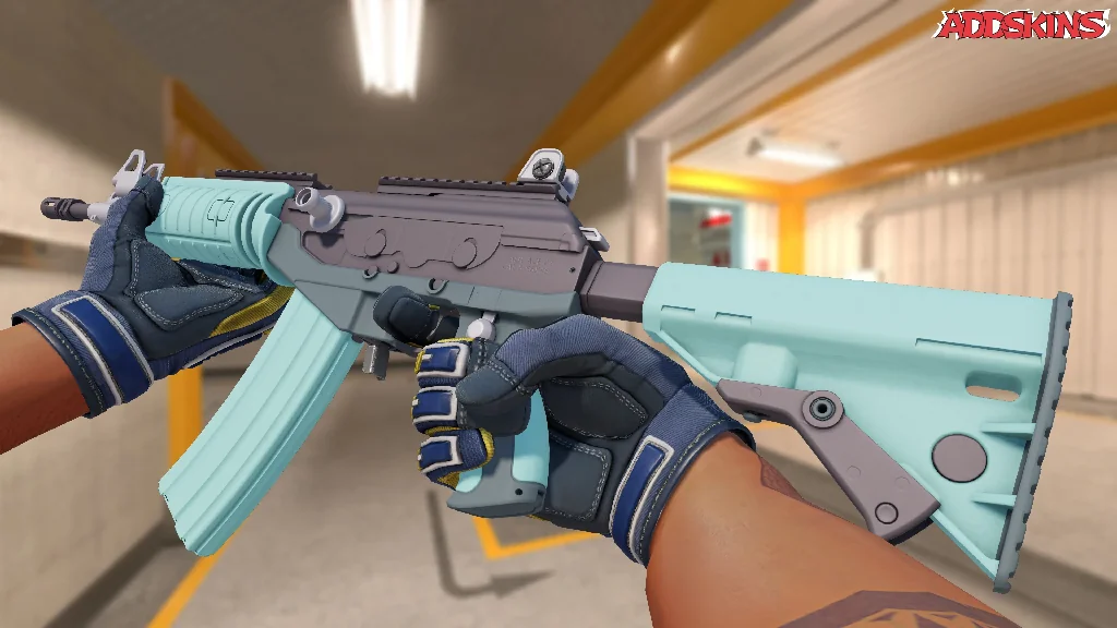 Galil AR | Robin's Egg inspecting