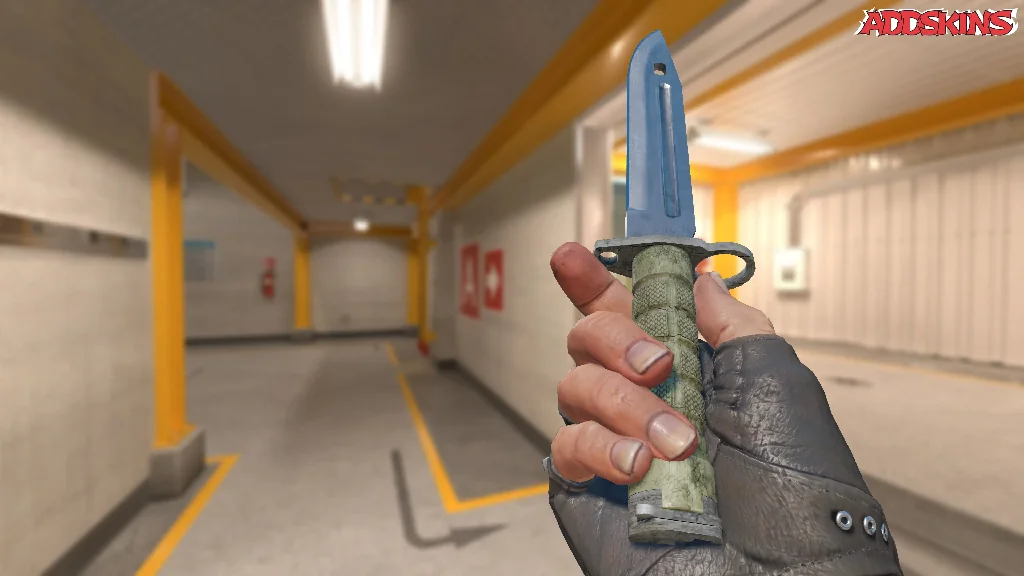 ★ Bayonet | Vanilla inspecting
